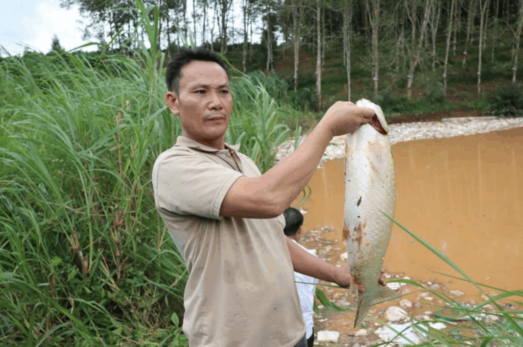 Vỡ bờ bao ô chứa rác ở Quảng Ngãi: Hàng tấn cá chết, người dân thiệt hại tiền tỉ