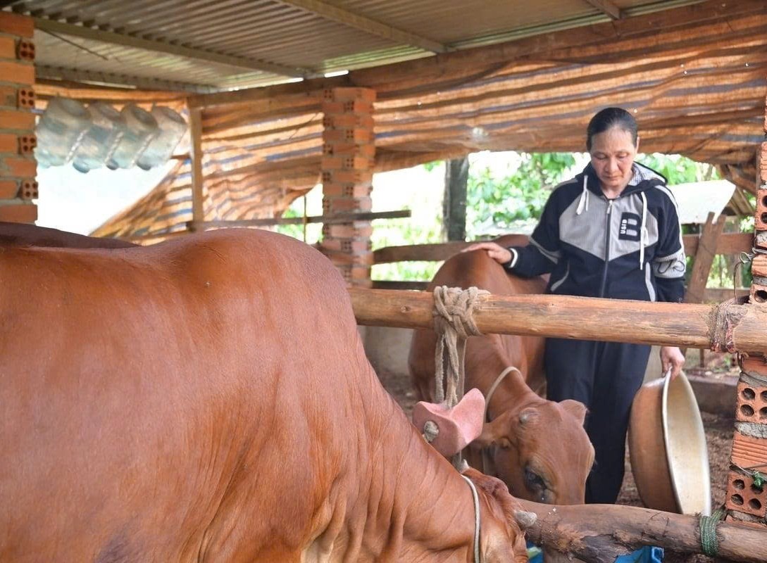 Giảm nghèo đa chiều tại Lâm Đồng: Những chuyển biến tích cực và định hướng phát triển bền vững