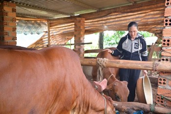 Giảm nghèo đa chiều tại Lâm Đồng: Những chuyển biến tích cực và định hướng phát triển bền vững