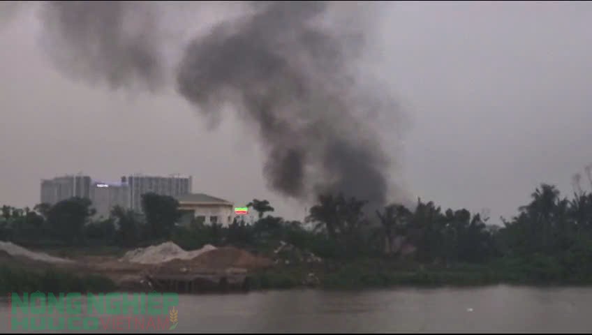 Đốt rác - Hiểm họa ô nhiễm môi trường nghiêm trọng hệ sinh thái, vật nuôi, cây trồng