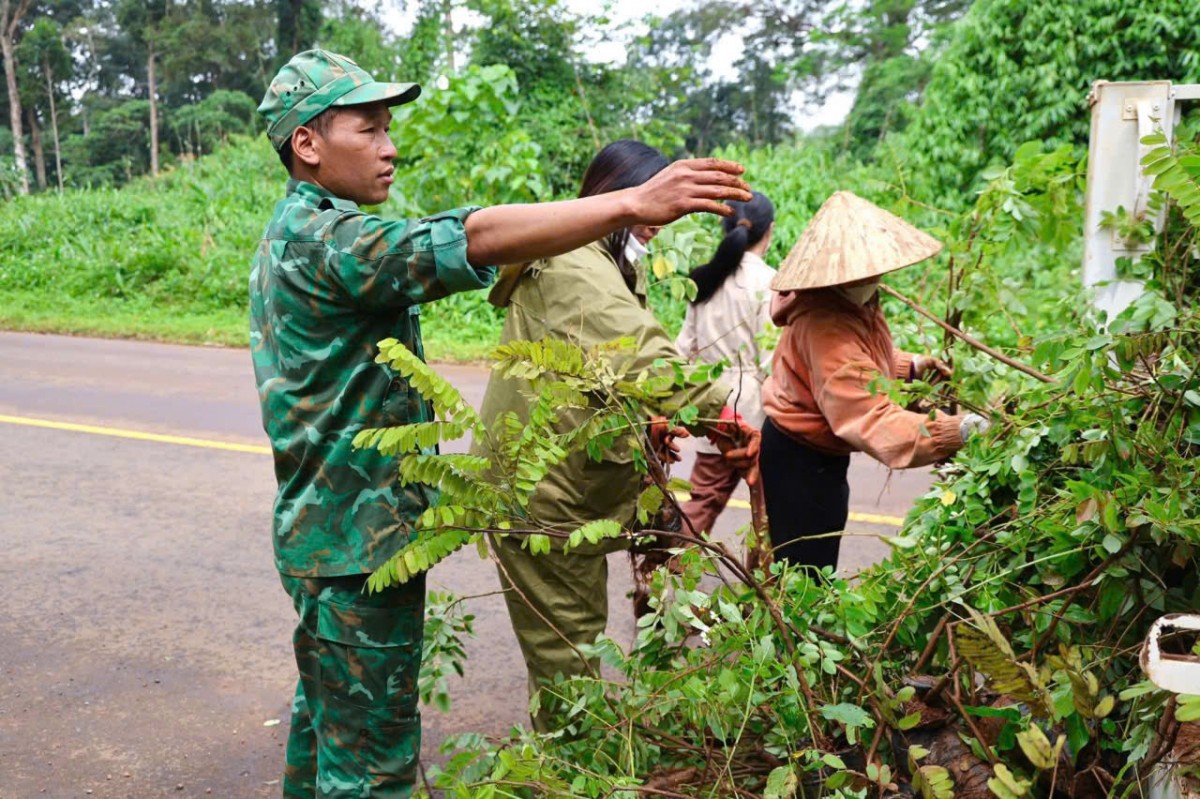 Lâm Đồng: Xã Quảng Trực trồng cây xanh chào mừng thành công Đại hội Đại biểu Đảng bộ xã