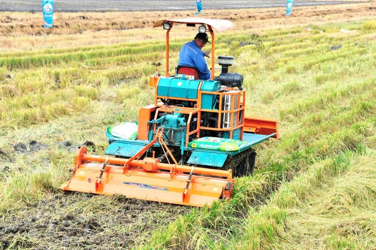 Sử dụng Đầu Trâu Bio-Canxi giúp nông dân bỏ dần thói quen đốt đồng độc hại, giảm phát thải khí nhà kính. Ảnh: Thế Huy.