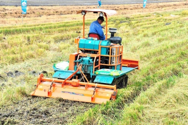 Lời kể từ nhà nông về phân bón Đầu Trâu Bio-Canxi