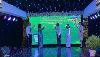 Huế: Tổ chức Hội thi trực tuyến tìm hiểu về phong trào nông dân sản xuất kinh doanh giỏi