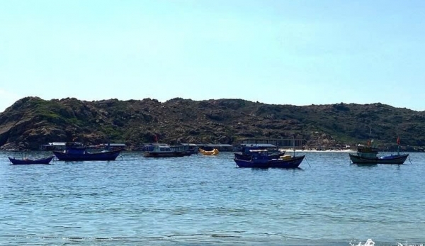 Gia Lai thành lập Ban Chỉ đạo chống khai thác IUU, phát triển thủy sản và kinh tế biển