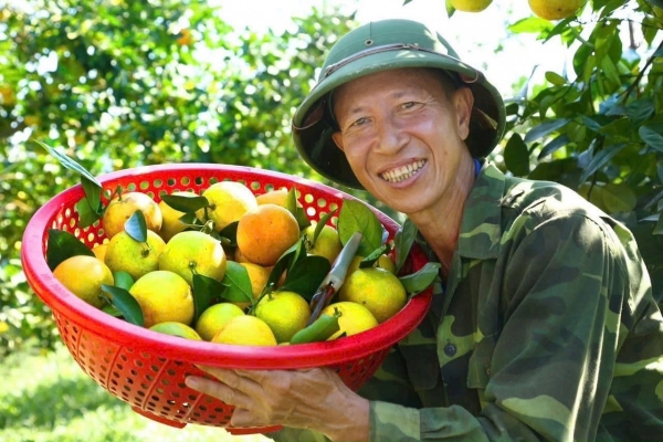 Kết nối sản xuất, tiêu thụ nông sản góp phần định hướng phát triển bền vững nông nghiệp