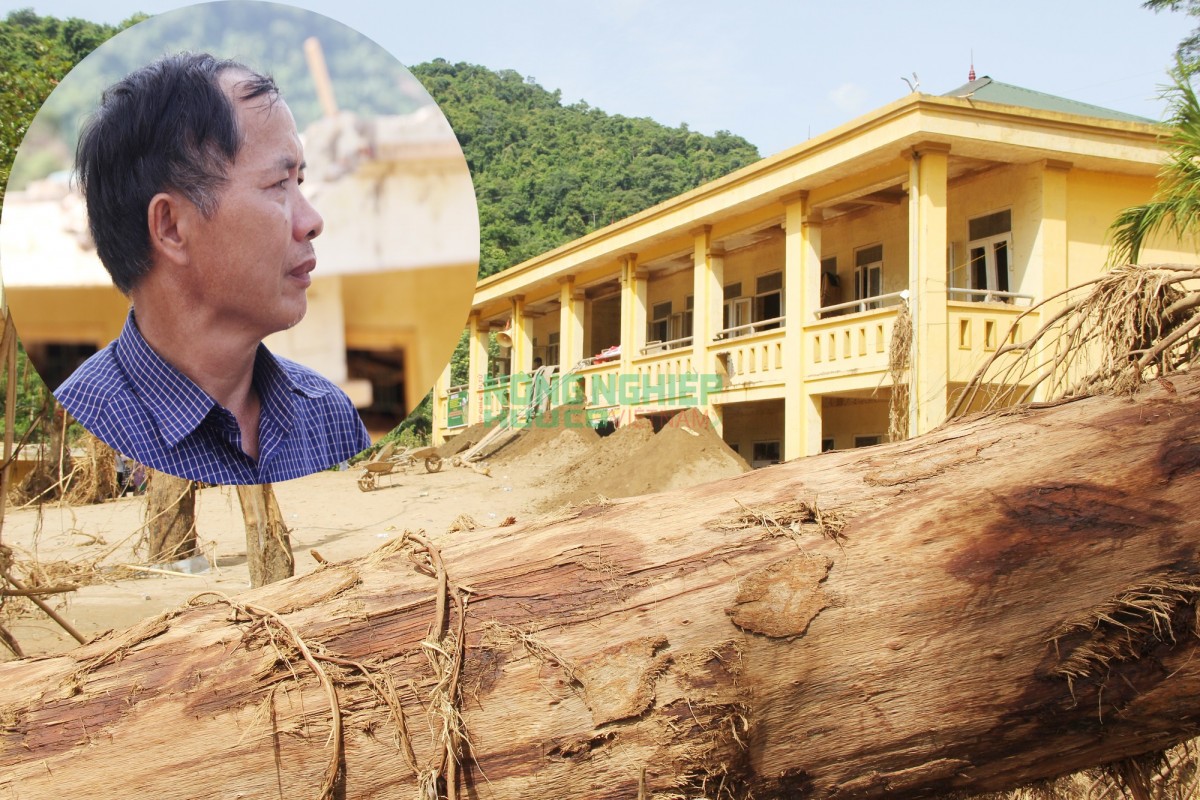 Cận cảnh trường tiểu học bán trú biên giới Nghệ An bị mưa lũ tàn phá