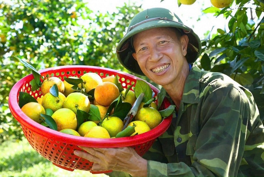 Kết nối sản xuất, tiêu thụ nông sản góp phần định hướng phát triển bền vững nông nghiệp