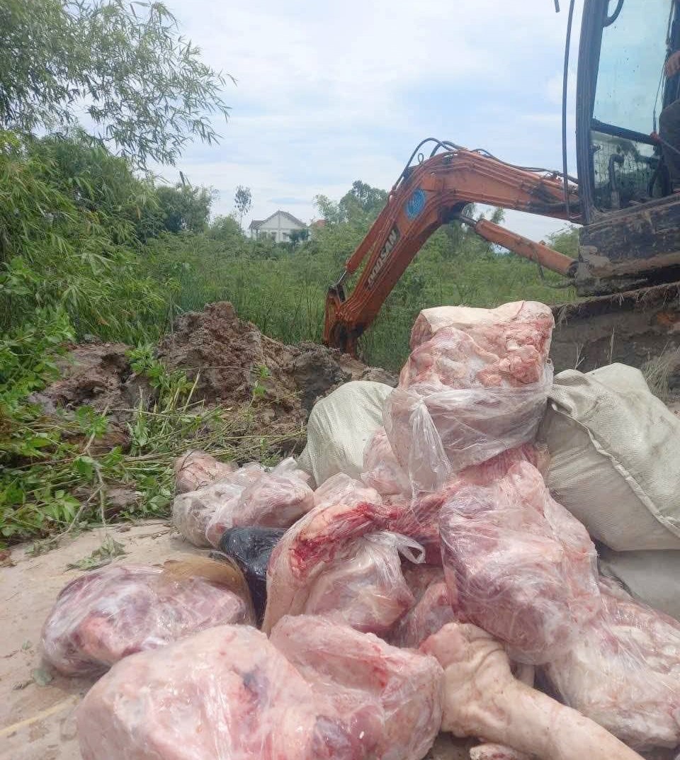 Hãi hùng 1 tấn thịt lợn bệnh được cấp đông tại nhà chủ giết mổ