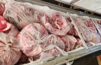 Hãi hùng 1 tấn thịt lợn bệnh được cấp đông tại nhà