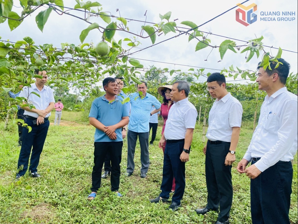 Quảng Ninh: Lãnh đạo tỉnh kiểm tra việc vận hành chính quyền địa phương 2 cấp