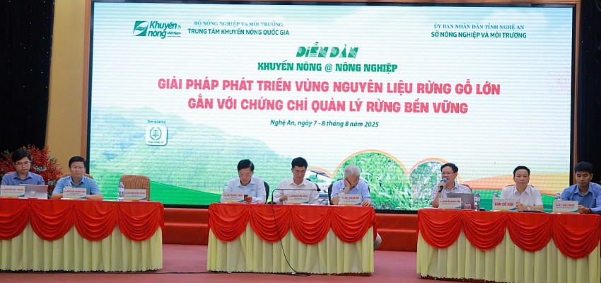 Giải 