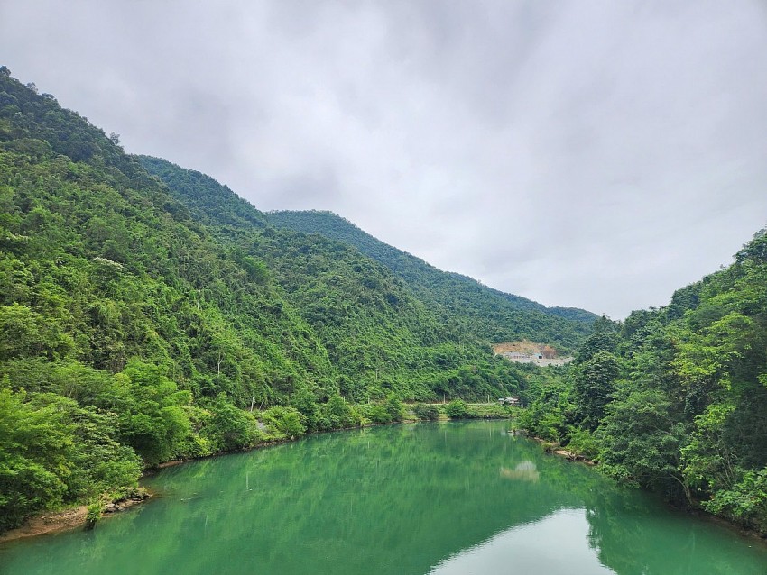 Giải 