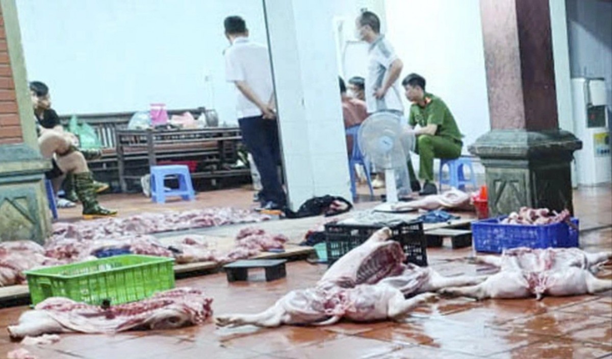 Hưng Yên: Kinh hoàng phát hiện cơ sở giết mổ lợn nhiễm tả lợn Châu Phi