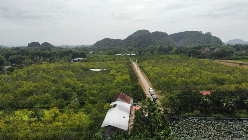 Sau nhiều năm đầu tư tâm huyết, thành quả từ trang trại bưởi diễn của anh Khải đã nỗi tiếng khắp trong nước.