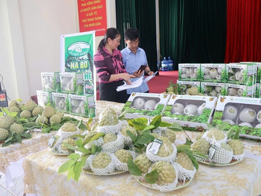 Nâng tầm thương hiệu na bở Liên Khê - An Sơn