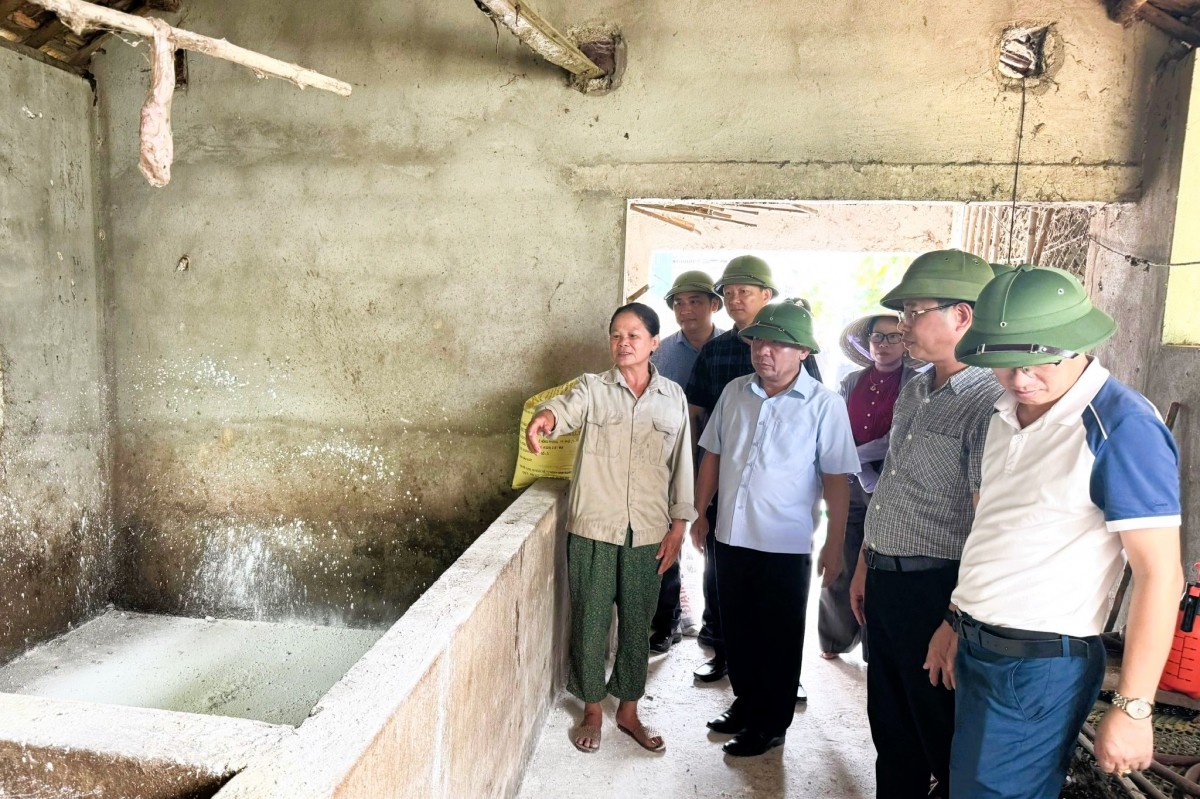 Nghệ An phấn đấu tiêm phòng bắt buộc đạt trên 70% tổng đàn gia súc, gia cầm giai đoạn 2026 – 2030