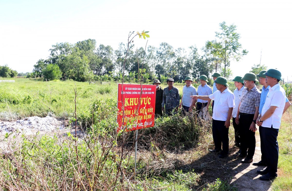Nghệ An chỉ rõ những tồn tại khiến dịch tả lợn châu Phi bùng phát diện rộng
