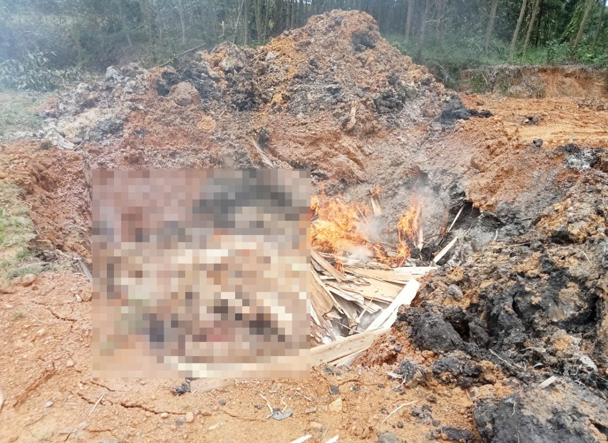 Nghệ An: Chi hơn 94 tỷ đồng hỗ trợ người dân có lợn nhiễm dịch tả lợn châu Phi và cúm gia cầm