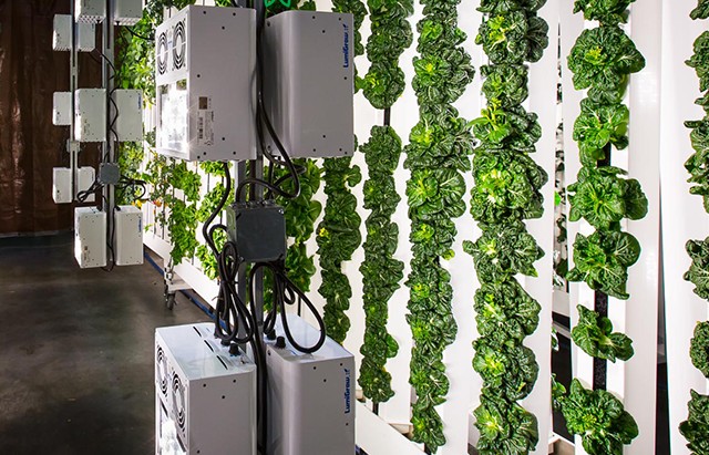 Nông nghiệp thời đại số: Cuộc cách mạng Silicon trên cánh đồng