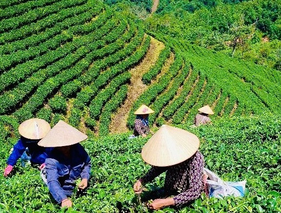 Ứng dụng công nghệ cao gắn với bảo vệ môi trường phát triển kinh tế nông nghiệp bền vững