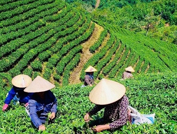 Ứng dụng công nghệ cao gắn với bảo vệ môi trường phát triển kinh tế nông nghiệp bền vững