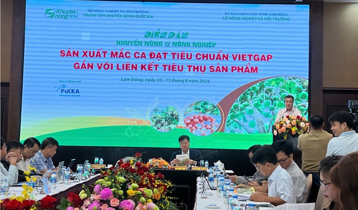 Ngành mắc ca Việt Nam: Chú trọng chất lượng, tăng cường liên kết chặt chẽ từ khâu sản xuất đến tiêu thụ