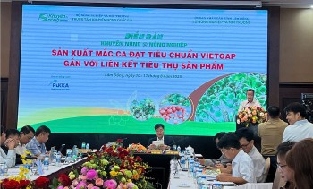 Ngành mắc ca Việt Nam: Chú trọng chất lượng, tăng cường liên kết chặt chẽ từ khâu sản xuất đến tiêu thụ