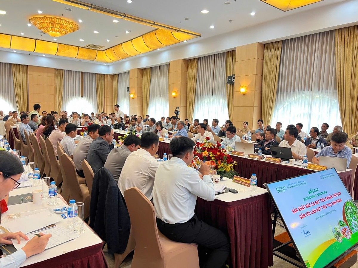 Ngành mắc ca Việt Nam: Chú trọng chất lượng, tăng cường liên kết chặt chẽ từ khâu sản xuất đến tiêu thụ