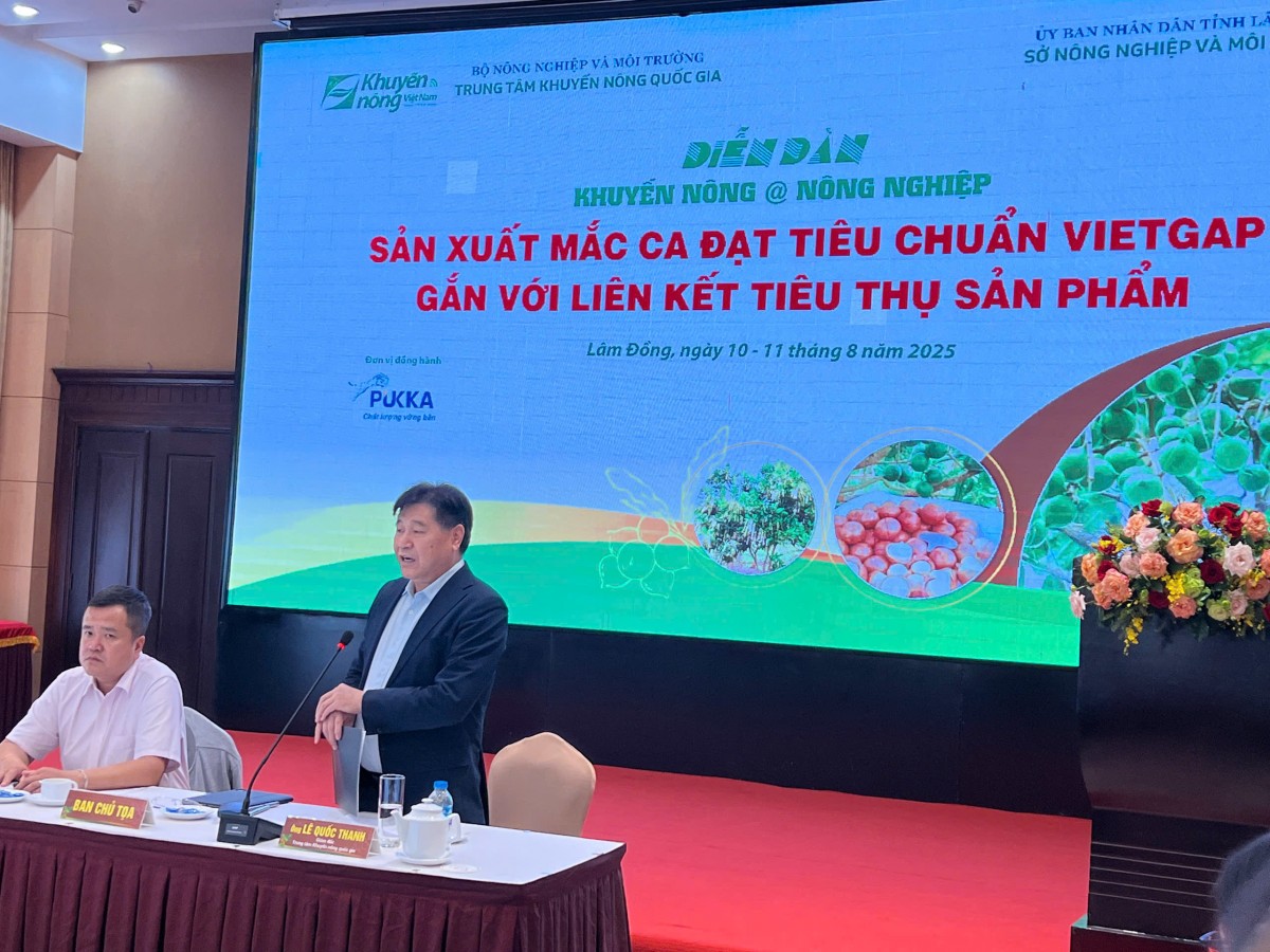Ngành mắc ca Việt Nam: Chú trọng chất lượng, tăng cường liên kết chặt chẽ từ khâu sản xuất đến tiêu thụ