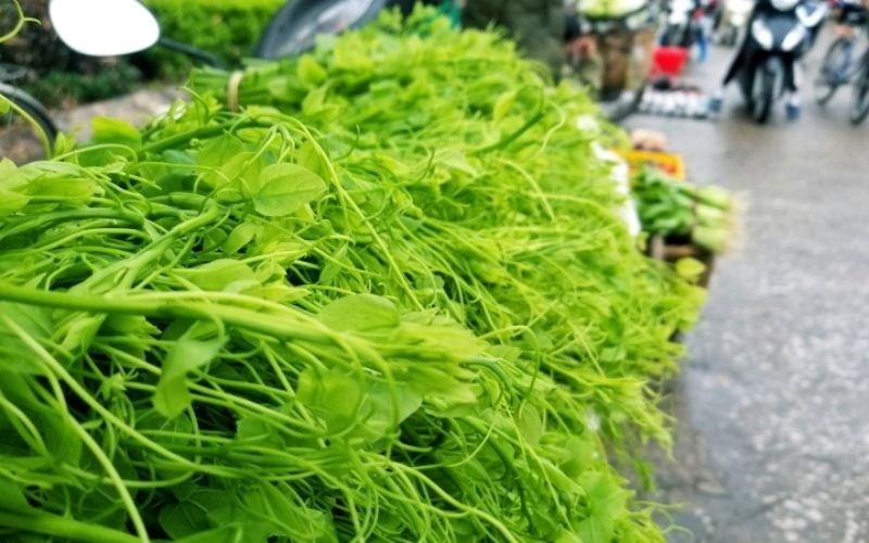 Rau bò khai (rau Dạ Hiến) - Đặc sản của núi rừng phía Bắc