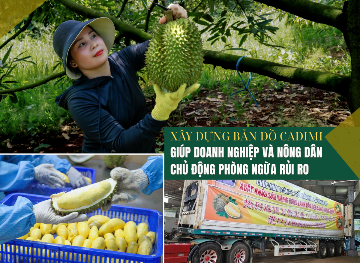 Xây dựng bản đồ Cadimi giúp doanh nghiệp và nông dân chủ động phòng ngừa rủi ro