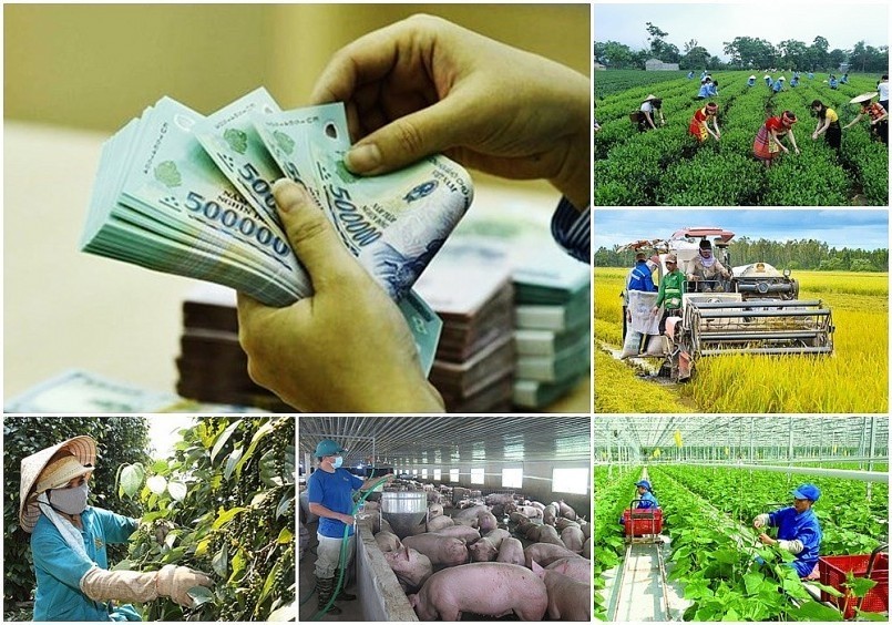 Gỡ vướng cho các chương trình mục tiêu quốc gia khi triển khai mô hình chính quyền địa phương 2 cấp