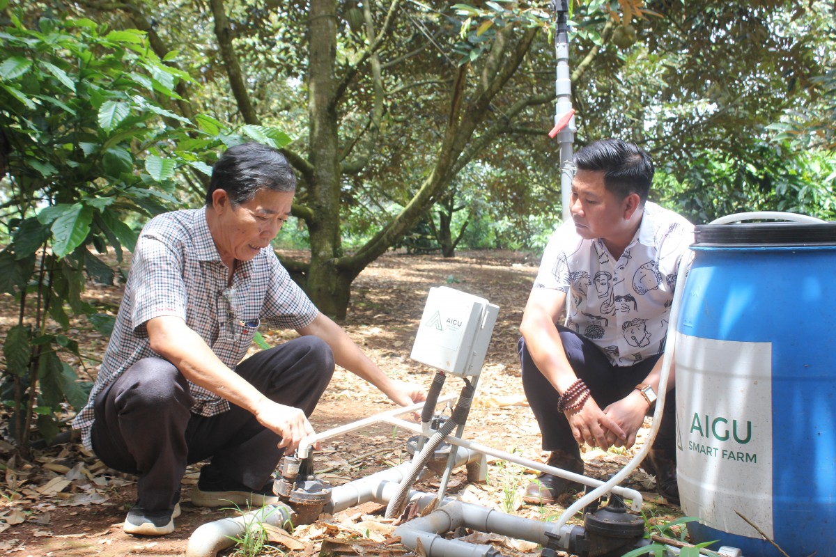 Tiên phong 