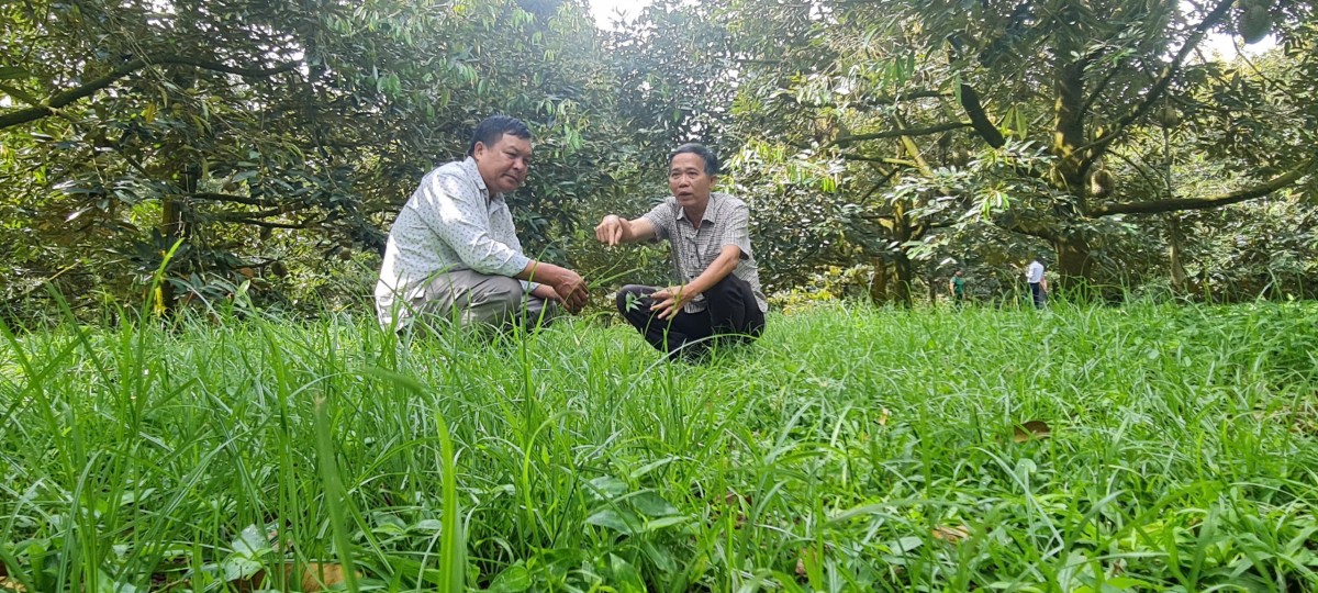 Tiên phong 