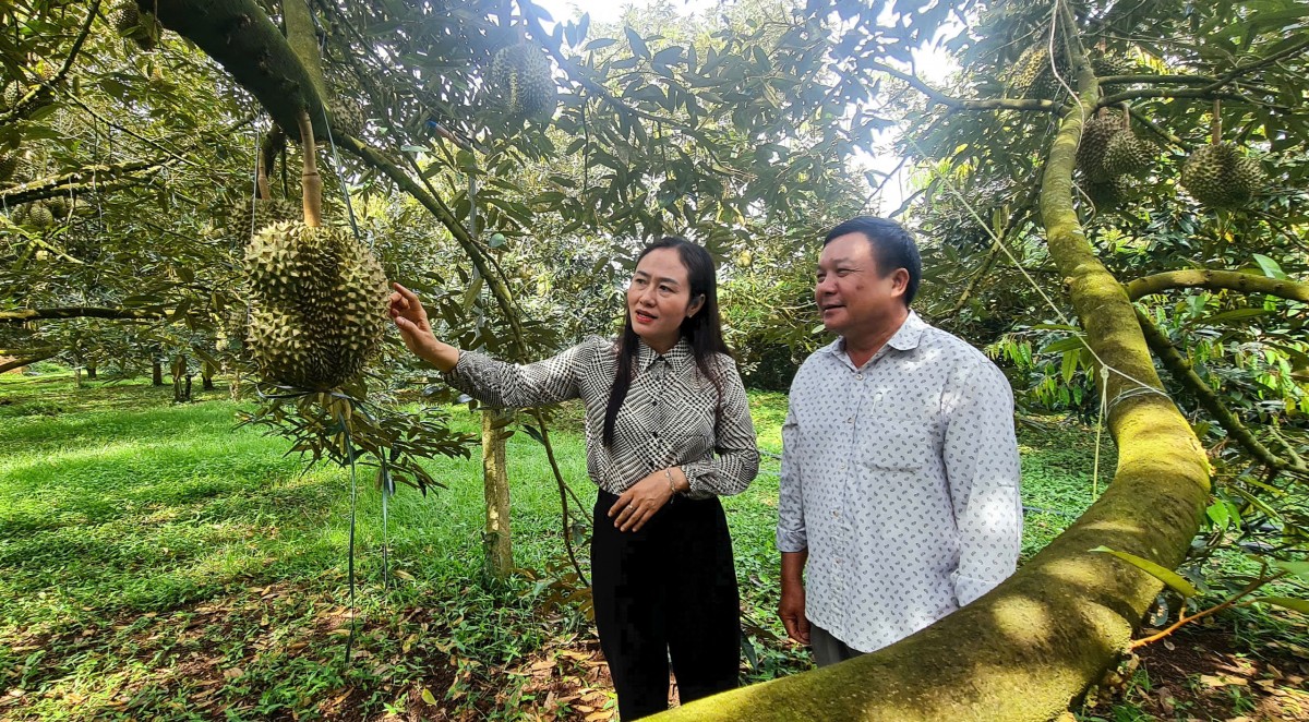 Tiên phong 