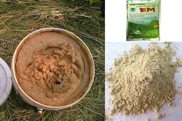 Phương pháp ủ phân hữu cơ tại nhà nhà từ trứng, sữa, cám gạo