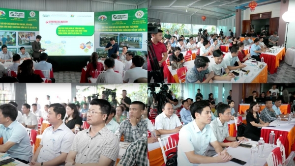 Ứng dụng công nghệ vi sinh phòng chống dịch tả lợn Châu Phi