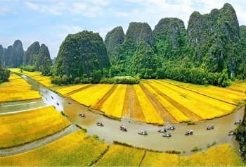 Kế hoạch phối hợp tổ chức Hội nghị nông nghiệp hữu cơ châu Á lần thứ 8