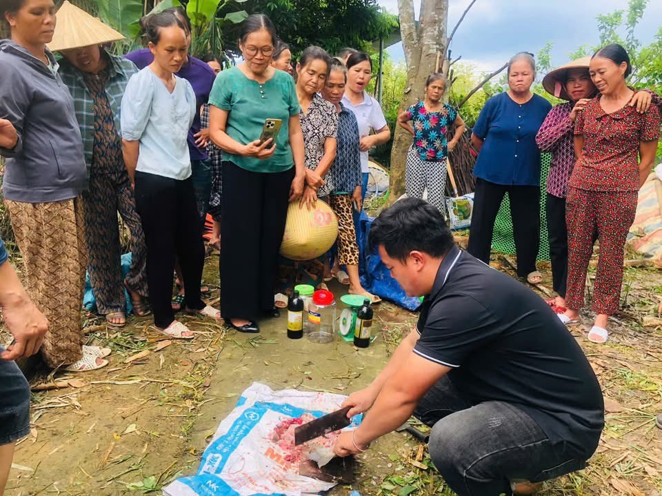 Cao Bằng: Tập huấn mô hình trồng ớt hữu cơ cho nông dân xã Hòa An