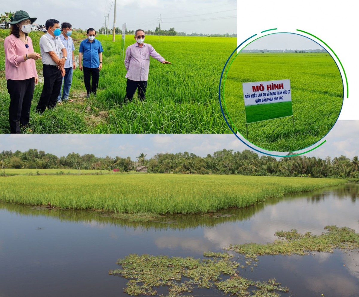 Chuyển đổi và kiến tạo tương lai xanh - Kỳ 2: 