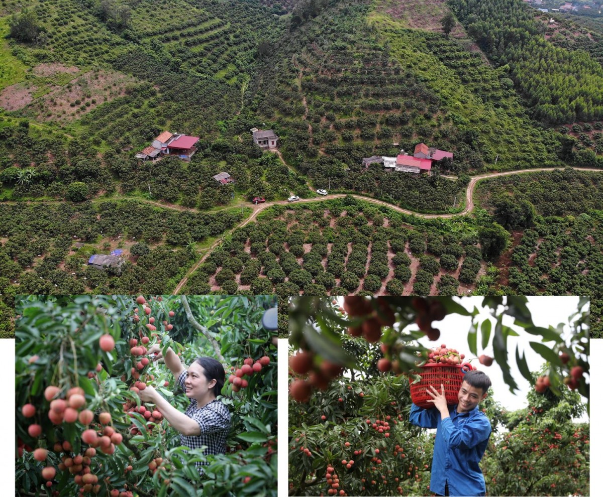 Chuyển đổi và kiến tạo tương lai xanh - Kỳ 2: 