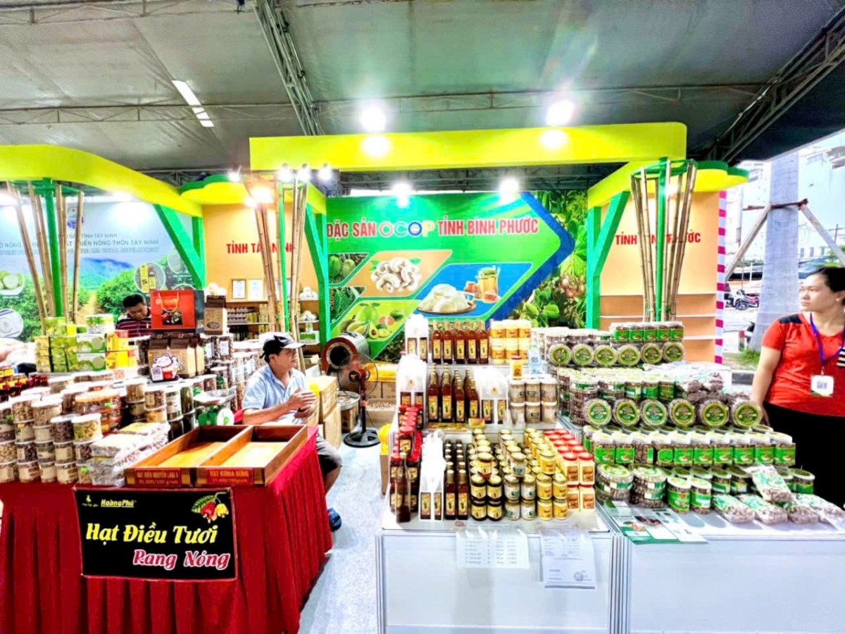 Chuyển đổi và kiến tạo tương lai xanh - Kỳ 2: 