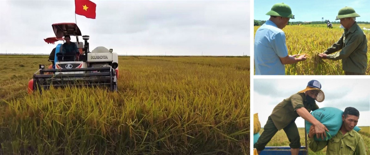 Chuyển đổi và kiến tạo tương lai xanh - Kỳ 2: 