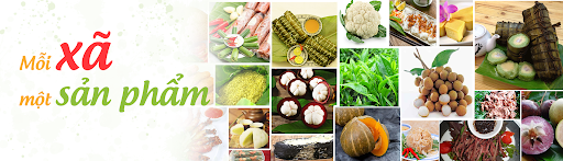 Chuyển đổi và kiến tạo tương lai xanh - Kỳ 2: 