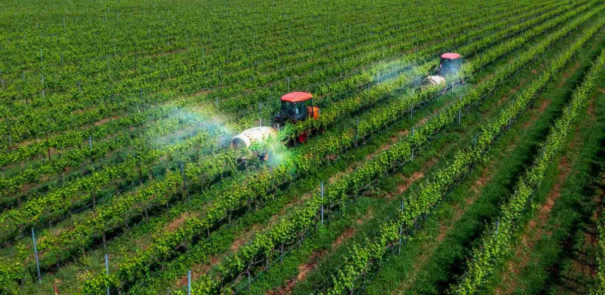 Chuyển đổi và kiến tạo tương lai xanh - Kỳ 4: Công nghệ xanh - 