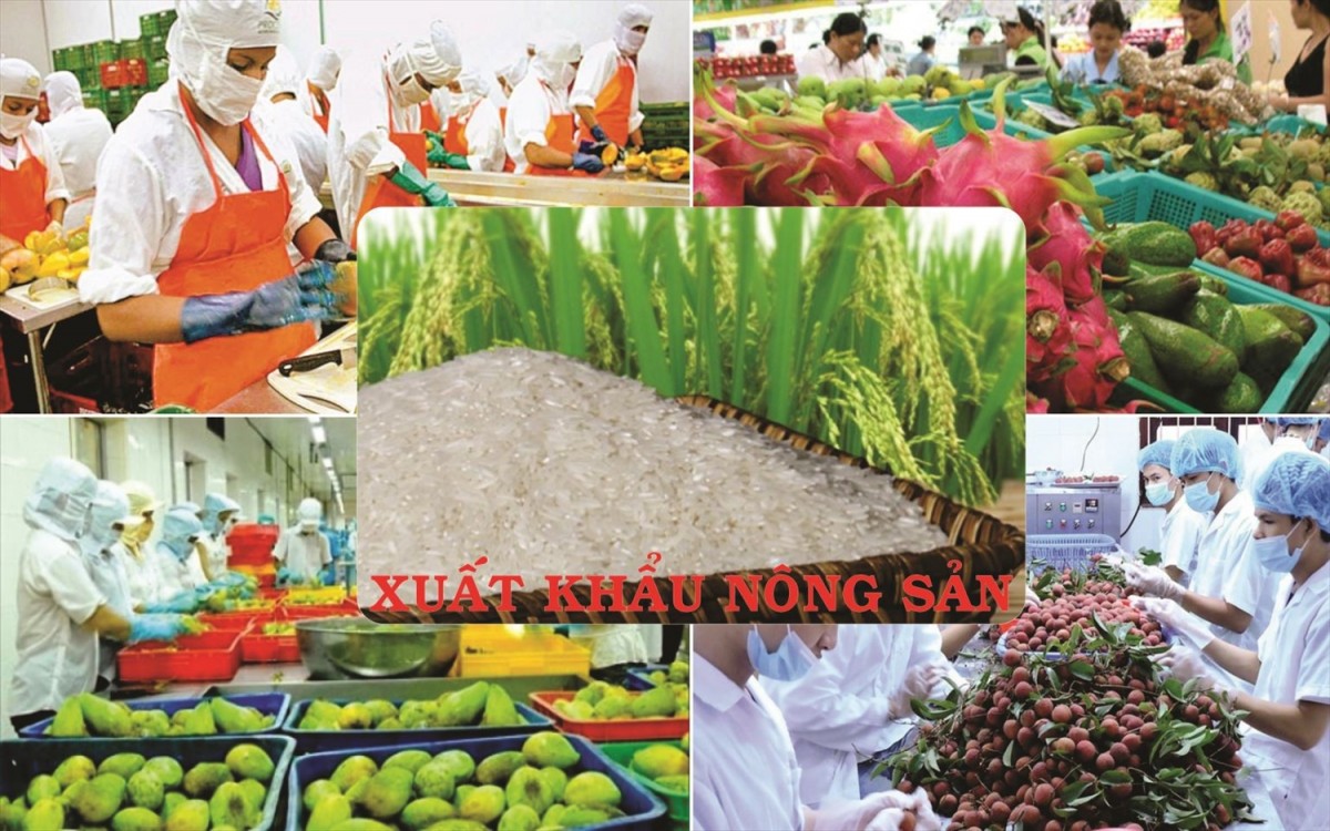 Chuyển đổi và kiến tạo tương lai xanh - Kỳ cuối: Tấm 