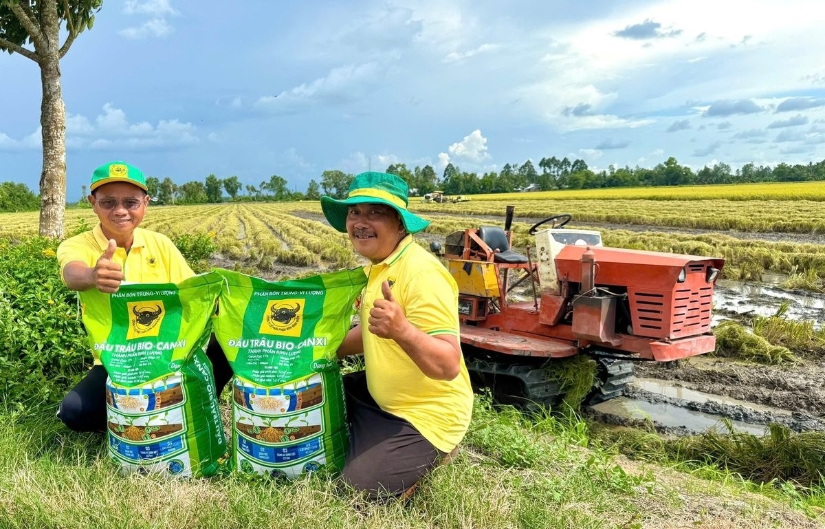 Đầu Trâu Bio-Canxi: Giải pháp canh tác lúa gạo bền vững, giảm phát thải