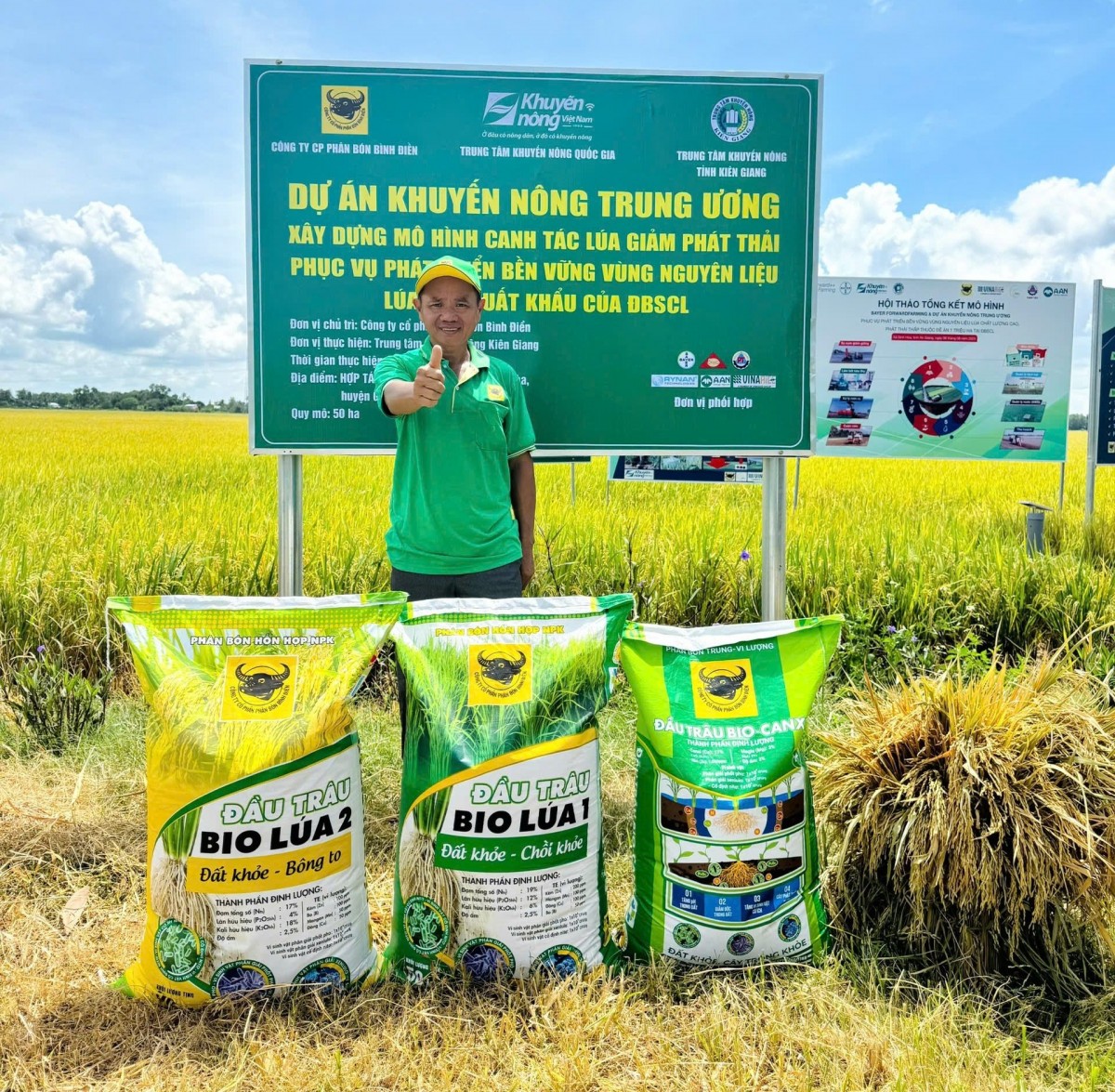 Đầu Trâu Bio-Canxi: Giải pháp canh tác lúa gạo bền vững, giảm phát thải