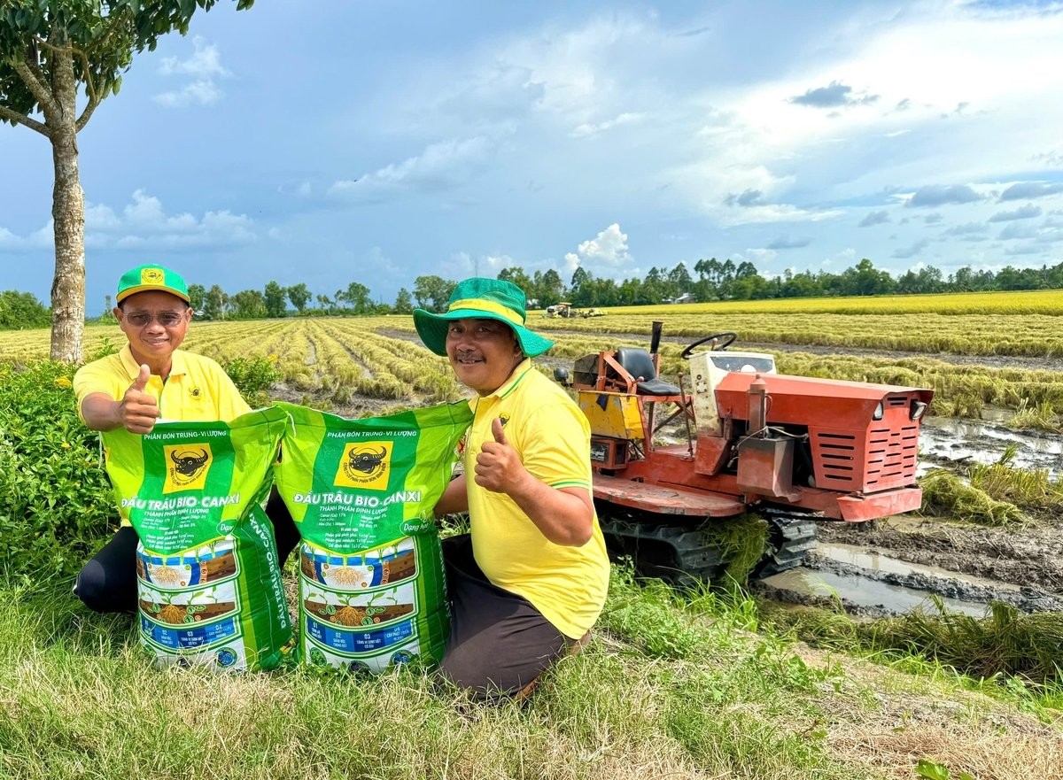 Đầu Trâu Bio-Canxi: Giải pháp canh tác lúa gạo bền vững, giảm phát thải